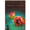 Ljubavničina osveta