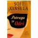 Potraga za Odri   +