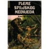 Pleme spiljskog medvjeda - Prahistorijski roman