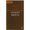 Analiza sebstva