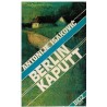 Berlin kaputt