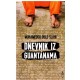 Dnevnik iz Guantanama