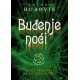 Buđenje noći   +