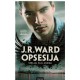 Opsesija - Peti roman serijala Pali anđeli