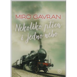 Nekoliko ptica i jedno nebo