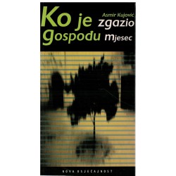 Ko je zgazio gospođu Mjesec
