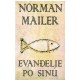 Evanđelje po sinu