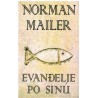 Evanđelje po sinu