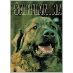 Šarplaninac