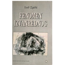 Fenomen izvanrednog