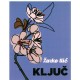 Ključ - Buđenje sopstvene svetlosti    +