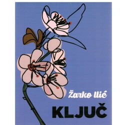 Ključ - Buđenje sopstvene svetlosti    +