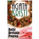 Božić Herkula Poaroa