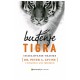 Buđenje tigra