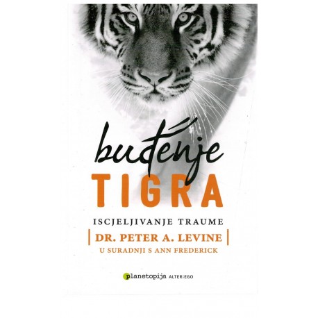 Buđenje tigra