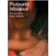 Purpurni hibiskus