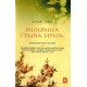Sniježnica i tajna lepeza