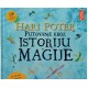 Hari Poter - Putovanje kroz  istoriju magije   +
