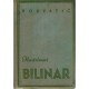 Ilustrirani bilinar