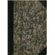 Narodna enciklopedija srpsko-hrvatsko-slovenačka II knjiga