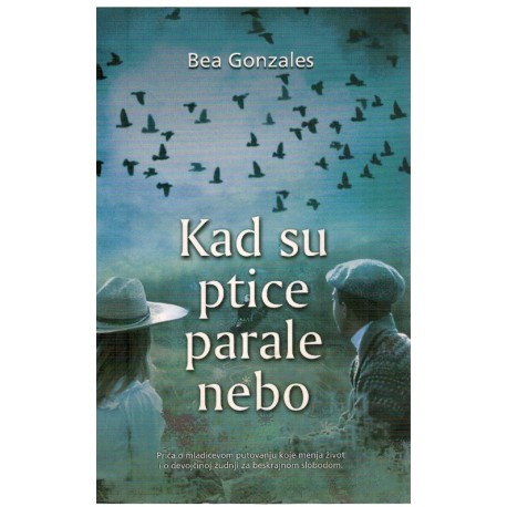 Kad su ptice parale nebo