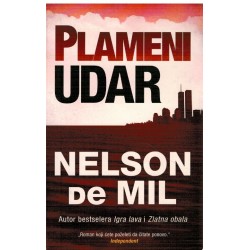 Plameni udar
