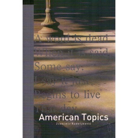 American Topics - Essays in American Literature