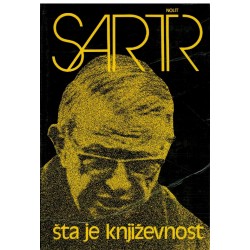 Šta je književnost