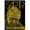 Šta je književnost