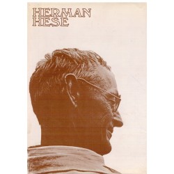 Herman Hesse - Biografija i esejistika