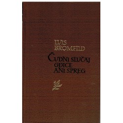 Čudni slučaj gđice Ani Spreg
