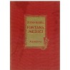 Fontana Mediči
