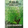 13 bajki iz kraljevstva Lailonie za velike i male