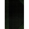 A practical dictionary of the Englich and Serbien Languages / Praktični Englesko - srpski rečnik