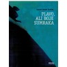 Plavo, ali boje sumraka