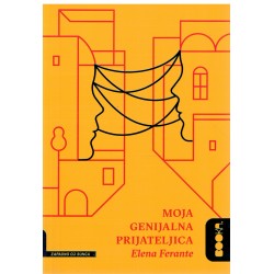 Moja genijalna prijateljica