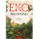 Baudolino