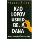 Kao lopov usred bela dana - Moć u doba postčovečanstva