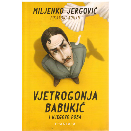 Vjetrogonja Babukić i njegovo doba