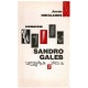 Sandro Galeb - Ulcinjska pisma