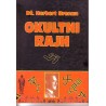 Okultni rajh
