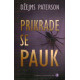 Prikrade se pauk