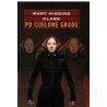 Po cijelome gradu
