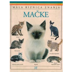 Mačke