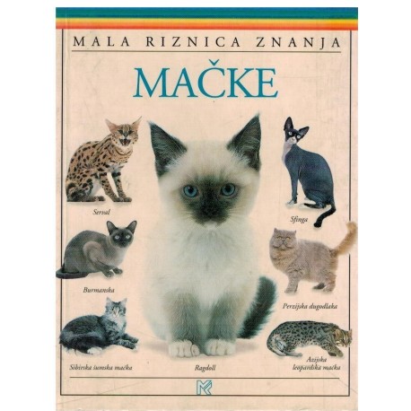 Mačke