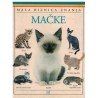 Mačke