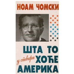 Šta to (u stvari) hoće Amerika