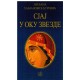 Sjaj u oku zvezde