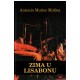 Zima u Lisabonu