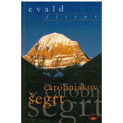 Čarobnjakov šegrt